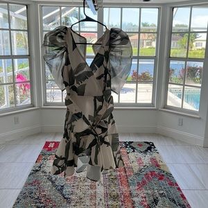 APeach dress purchased from Reddress Boutique palms puff sleeve dress NWT XS